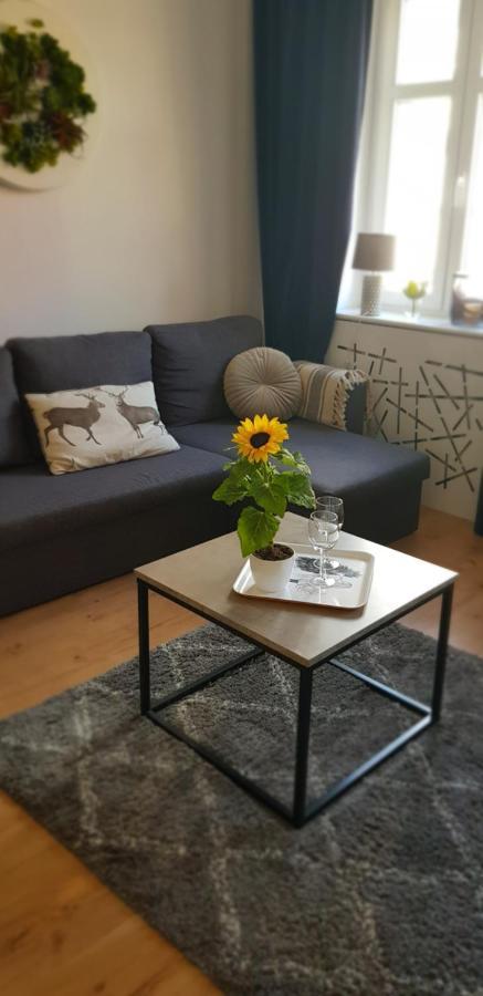 耶莱尼亚古拉Apartament Nad Bristolka公寓 外观 照片